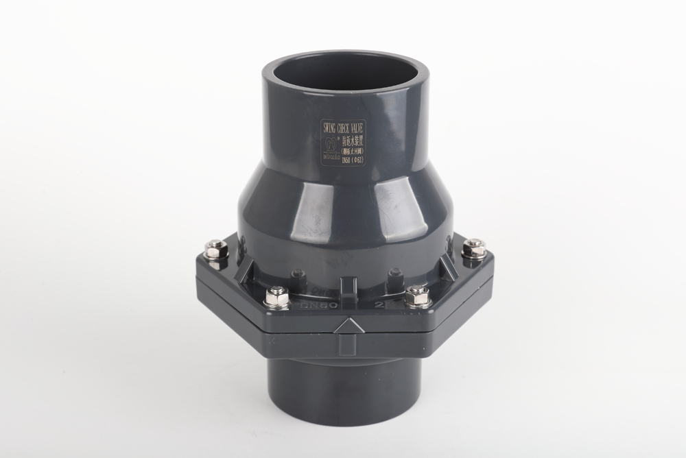 沙县翻板式止回阀