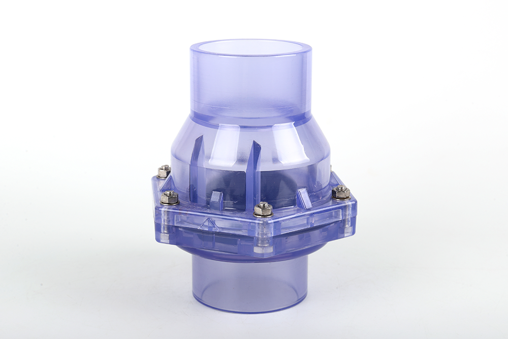 沙县透明翻板式止回阀